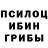 ГАШ гарик Tha Walrus