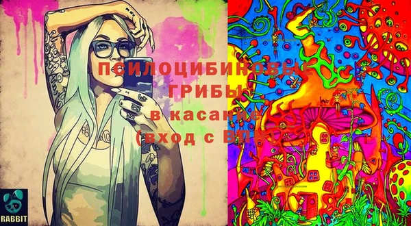 метадон Беломорск