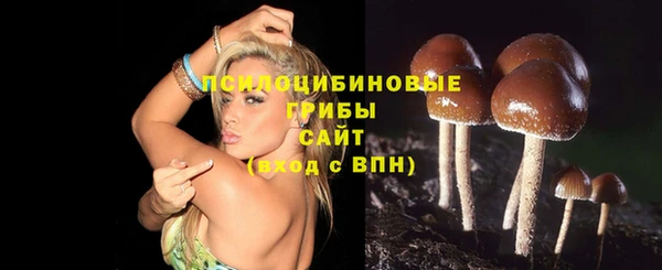 тгк Белоозёрский
